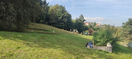 Delovna akcija Soncki 08sept2025 01